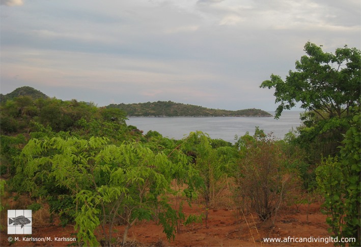 Cape Mpimbwe, Shanshete Bay 01